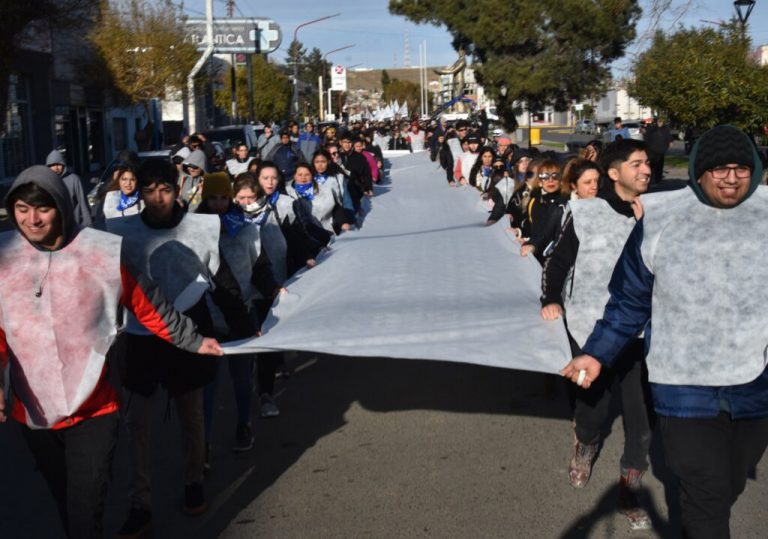 ser-organizo-masiva-marcha-por-la-educacion-y-para-que-el-gobierno-“no-mire-para-otro-lado”