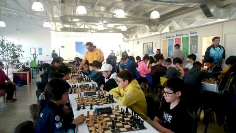 ajedrez:-dos-riogalleguenses-clasificaron-para-los-juegos-evita-nacionales