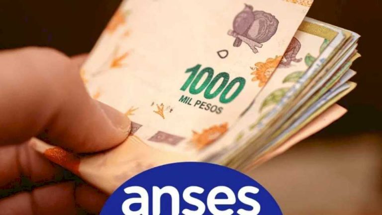 conoce-el-calendario-de-pagos-de-anses-de-la-semana-del-lunes-17-al-viernes-21-de-julio