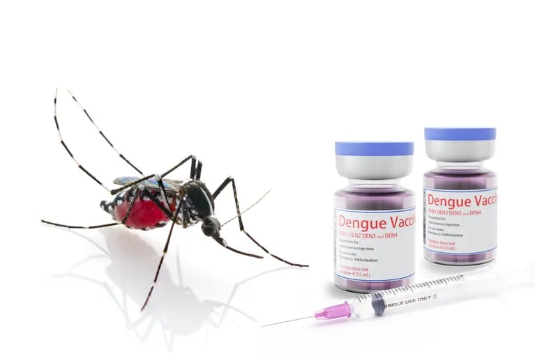 cuanto-cuesta-la-vacuna-contra-el-dengue-que-ya-se-encuentra-disponible-en-la-argentina