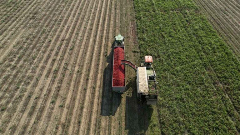 senado:-exaliado-libertario-presento-un-«mini-rigi-agropecuario»-para-que-nacion-reintegre-las-retenciones