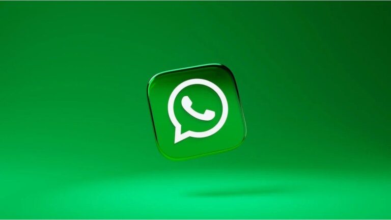 WhatsApp: cómo activar el «modo colibrí» para el diseño de la aplicación