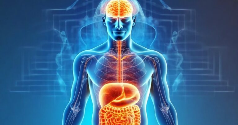 Por qué un intestino saludable puede proteger al cerebro del envejecimiento