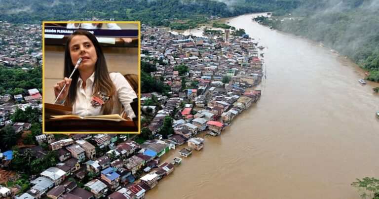 Proyecto de ley buscaría incluir a los animales dentro de los programas de gestión de riesgo de desastres por emergencias en Colombia: las víctimas invisibles