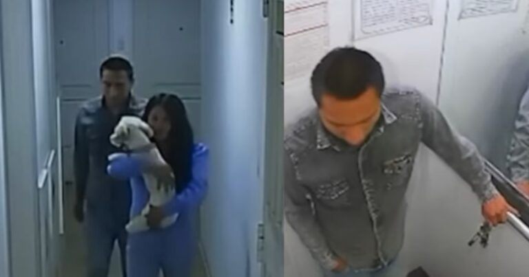 Madre de Sheyla Cóndor plantea la posibilidad de que su hija haya sido víctima de tráfico de órganos