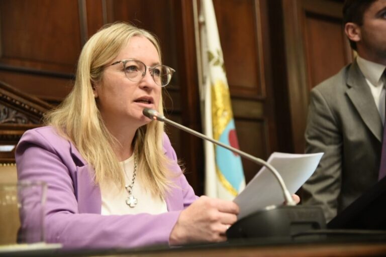 Hebe Casado recomendó que los chicos con TEA se tapen los oídos por la pirotecnia