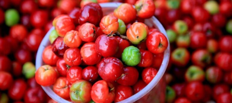 Cuál es la fruta que tiene 40 veces más vitamina C que la naranja?