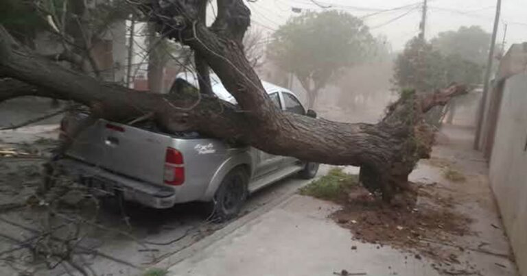Un fuerte temporal azotó San Luis: dejó grandes destrozos, cortes de luz y árboles caídos