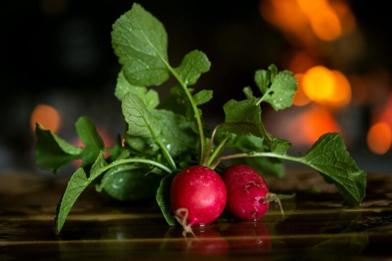 La hoja de una verdura posee importantes nutrientes y potentes antioxidantes