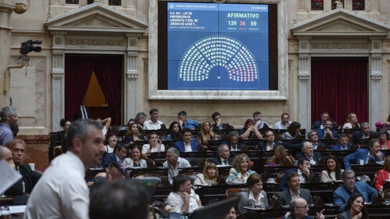 Diputados dio media sanción al proyecto de reiterancia delictiva