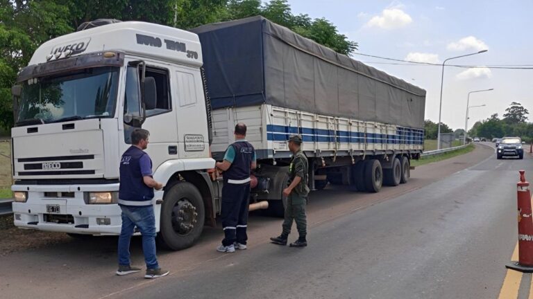 Transporte de cargas: cuáles son las siete claves del nuevo remito digital?
