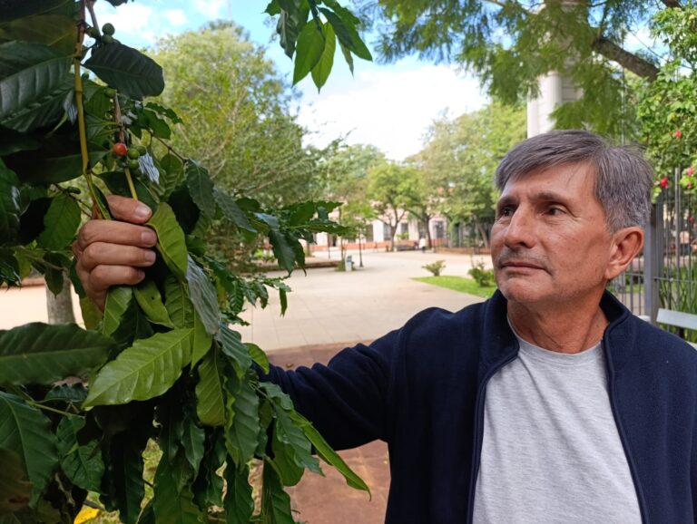 Nuevo rumbo: proponen que una provincia se convierta en una potencia productora de café