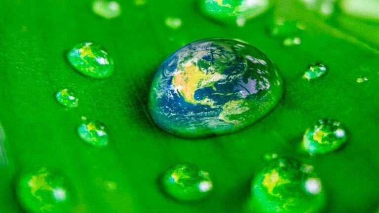 Día Mundial del Medio Ambiente: por qué se celebra el 5 de junio