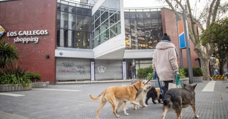 Mar del Plata sin gas: la ciudad amaneció semi paralizada y cómo va a ser la reconexión