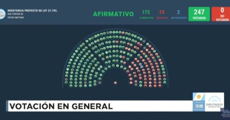 Uno por uno, cómo votaron los diputados la Emergencia en Discapacidad, que fue ratificada y pasó al Senado