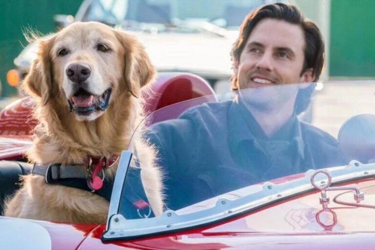 La conmovedora película de Netflix de dos horas que te hará reflexionar sobre la amistad incondicional