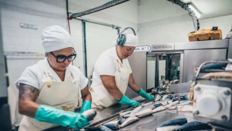 En medio de una profunda crisis, la pesca se hundió 82,8% en julio y tocó su peor nivel desde la pandemia