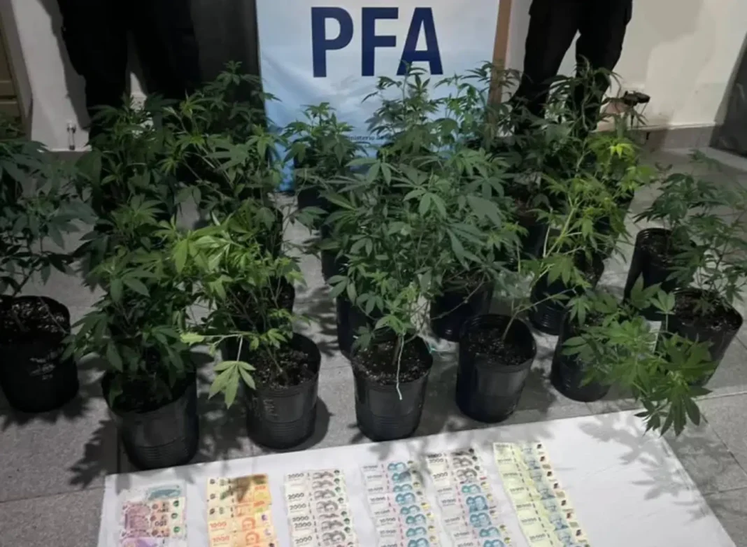 Efectivos policiales durante allanamiento en Caleta Olivia