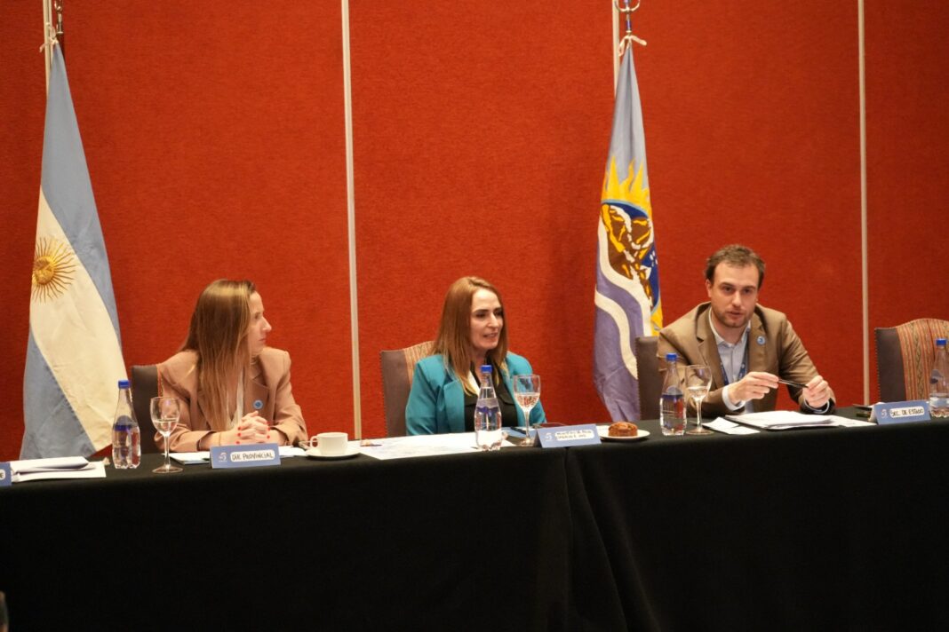 Ministra Nadia Ricci durante su participación en el Consejo Provincial de Turismo en El Calafate.