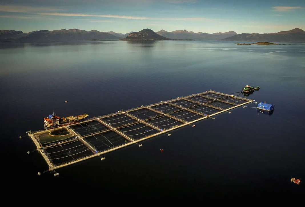 Proyecto de planta salmonera en tierra firme al norte de Río Grande